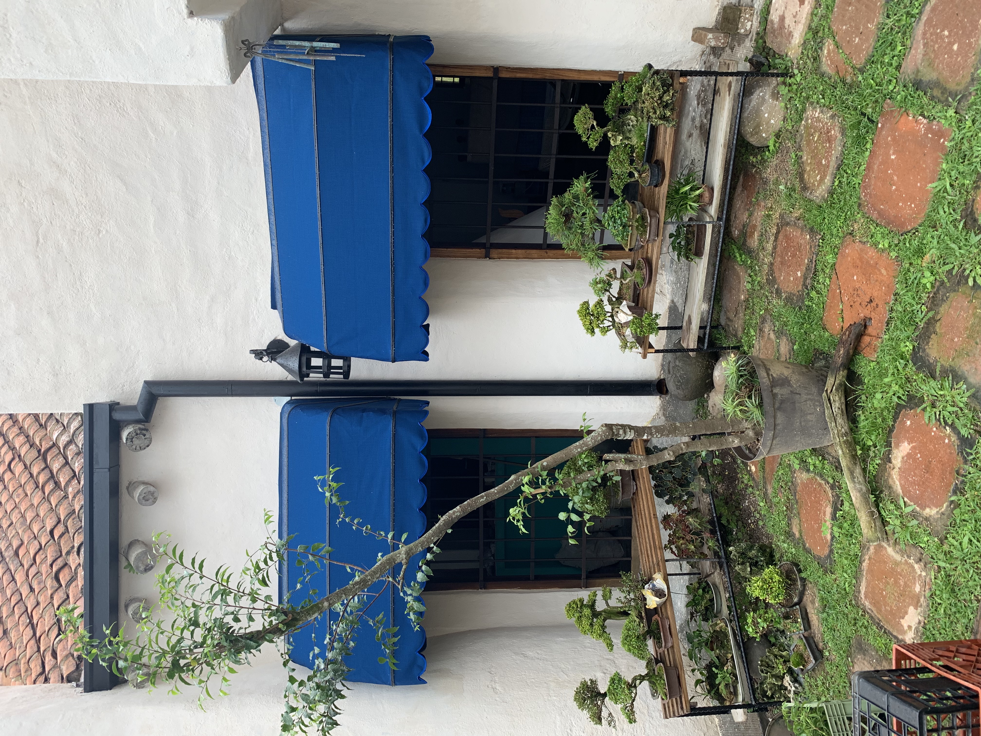Toldo Capotina